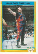 1995 WWF Wrestling Trading Cards (Merlin) Bam Bam Bigelow 111