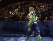 October 10, 1992 WWF Superstars of Wrestling 6.jpg (66 KB)