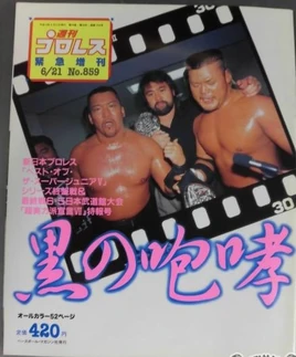 Weekly Pro Wrestling 859