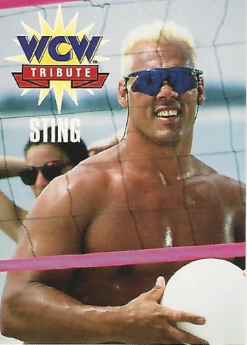 1995 WCW Main Event Trading Cards (Cardz) Sting (No.80) | Pro 
