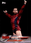 2018 WWE Wrestling Cards (Topps) Noam Dar (No.70)