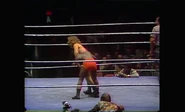 5.19.86 Prime Time Wrestling.00015.jpg (60 KB)