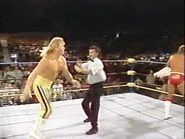 WrestleWar 1991.00009.jpg (20 KB)