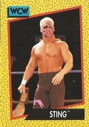 1991 WCW (Impel) Sting (No.2)