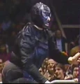 SpiderLady.jpg (9 KB) The Spider Lady - 5th Champion - (November 25, 1985 - July 3, 1986)