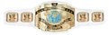 Cody Rhodes Intercontinental Title (2011)