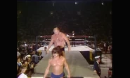 5.19.86 Prime Time Wrestling.00020.jpg (62 KB)