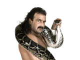 Jake Roberts