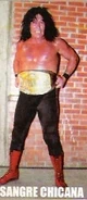With the AAA Americas Heavyweight Championship.