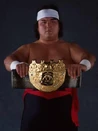 Shinya Hashimoto 19th Champion (April 29, 1996 - August 31, 1997)