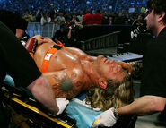 WrestleMania 23.11