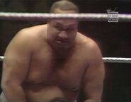 10.25.76 MSG.00019.jpg (48 KB)