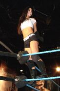 AJ Lee 1