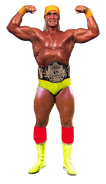 HulkHogan1993