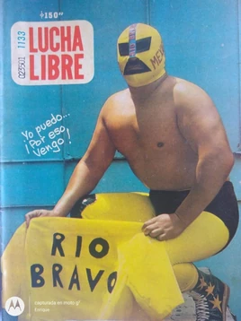 Lucha Libre 1133