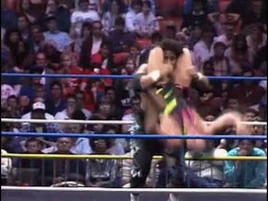 Steiner Frankersteiner