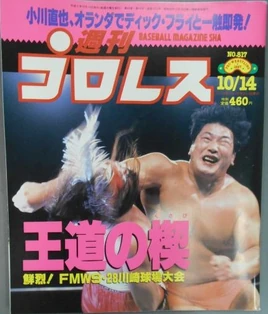 Weekly Pro Wrestling 817