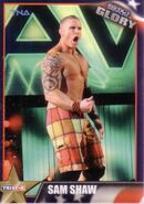 2013 TNA Impact Glory Wrestling Cards (Tristar) Sam Shaw 85