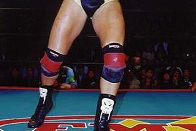 NWo Japan | Pro Wrestling | Fandom