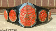 NWA Southern Champion (2)