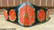 NWA Southern Champion (2)