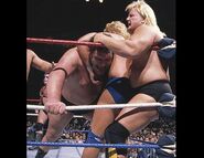 Royal Rumble 1989.2