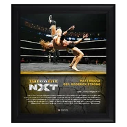 Matt Riddle NXT TakeOver XXV 15 x 17 Framed Plaque