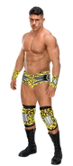 EC3 stat photo