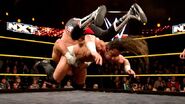 NXT 259 Photo 13