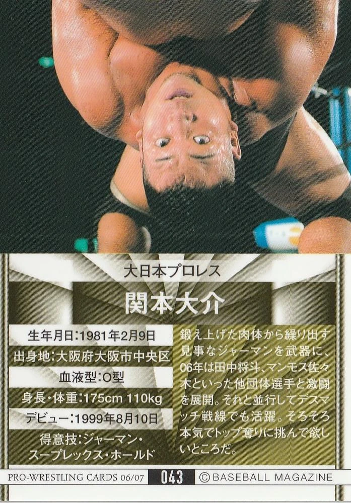 2006-07 BBM Pro Wrestling Daisuke Sekimoto (No.43) | Pro
