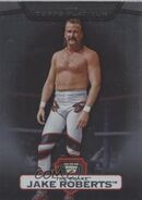 2010 WWE Platinum Trading Cards (Topps) Jake Roberts (No.22)