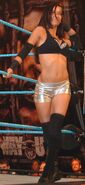 AJ Lee 3