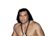 Peter Maivia