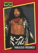 1991 WCW (Impel) Fabulous Freebirds (No.124)