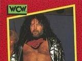 1991 WCW (Impel) Fabulous Freebirds (No.124)