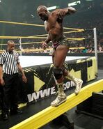 3-8-11 NXT 7.jpg (27 KB)