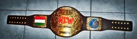 HCWChampionship