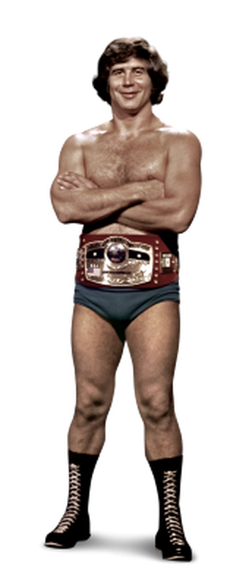 Jack Brisco Pro Wrestling Fandom