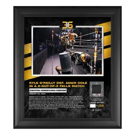 Kyle O'Reilly NXT Takeover 36 15x17 Commemorative Plaque