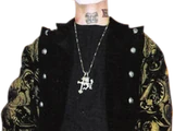 Shaggy 2 Dope