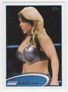 2012 WWE (Topps) Kaitlyn 40
