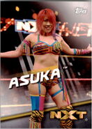 2016 WWE Divas Revolution Wrestling (Topps) Asuka (No.38)