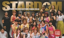 2019 Stardom Collection Card