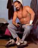 Jake Roberts11