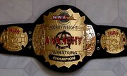 NWA Anarchy Champion