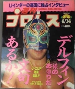 Weekly Pro Wrestling No. 616 June 14, 1994