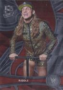 2022 WWE (Panini Chronicles) Matt Riddle (No.392)