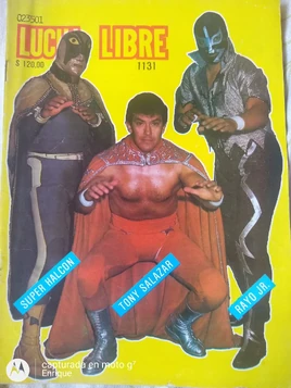 Lucha Libre 1131