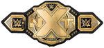 NXT Championship (2017)