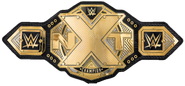 NXT Championship (2017)